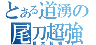 とある道湧の尾刀超強（根本拉機）