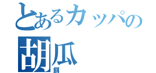 とあるカッパの胡瓜（餌）