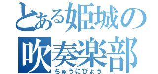 とある姫城の吹奏楽部（ちゅうにびょう）