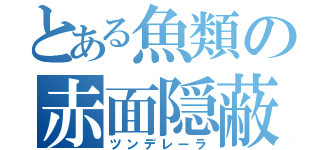 とある魚類の赤面隠蔽（ツンデレーラ）