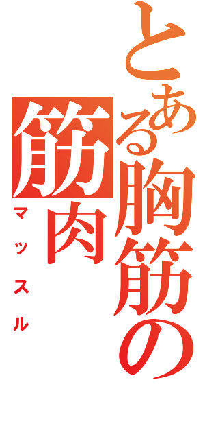 とある胸筋の筋肉（マッスル）