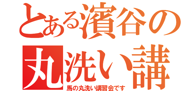 とある濱谷の丸洗い講座（馬の丸洗い講習会です）