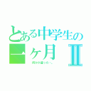 とある中学生の一ヶ月Ⅱ（  何かが違った…。）