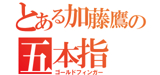 とある加藤鷹の五本指（ゴールドフィンガー）