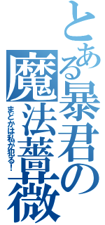 とある暴君の魔法薔薇（まどかは私が犯る！）