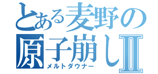 とある麦野の原子崩しⅡ（メルトダウナー）