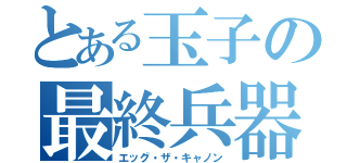 とある玉子の最終兵器（エッグ・ザ・キャノン）