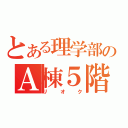 とある理学部のＡ棟５階（リオク）