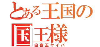 とある王国の国王様（白夜王ヤイバ）