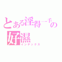 とある淫得一手の好濕（インデックス）