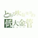 とある吹奏楽部の低大金管（チューバ）