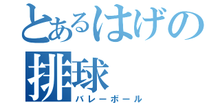 とあるはげの排球（バレーボール）