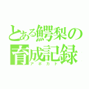 とある鰐梨の育成記録（アボカド）