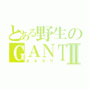 とある野生のＧＡＮＴＺⅡ（オオカワ）