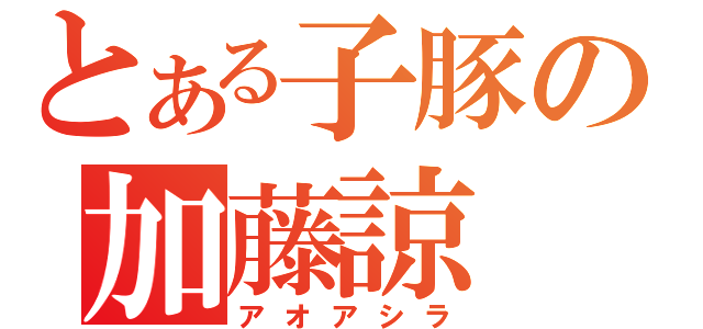 とある子豚の加藤諒（アオアシラ）