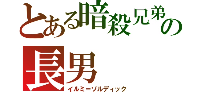 とある暗殺兄弟の長男（イルミ＝ゾルディック）