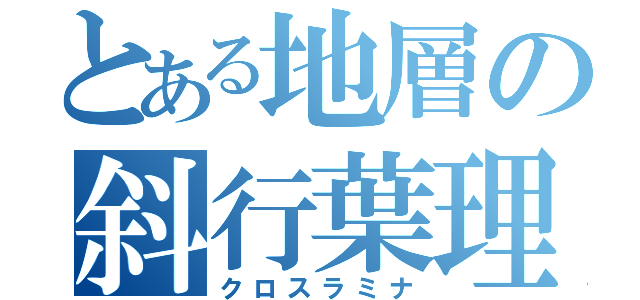 とある地層の斜行葉理（クロスラミナ）