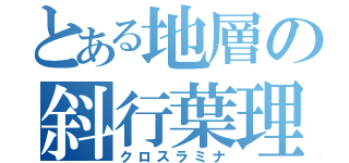 とある地層の斜行葉理（クロスラミナ）