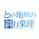 とある地層の斜行葉理（クロスラミナ）