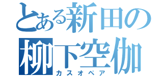 とある新田の柳下空伽（カスオペア）