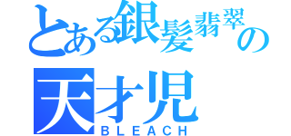 とある銀髪翡翠眼の天才児（ＢＬＥＡＣＨ）