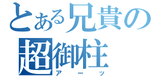 とある兄貴の超御柱（アーッ）