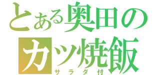 とある奥田のカツ焼飯（サラダ付）