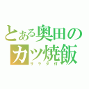 とある奥田のカツ焼飯（サラダ付）