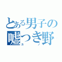 とある男子の嘘つき野郎（カノ）