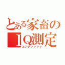 とある家畜のＩＱ測定（エンダァァァァ）