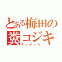 とある梅田の糞コジキ（ダンボール）