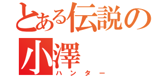 とある伝説の小澤（ハンター）