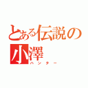 とある伝説の小澤（ハンター）