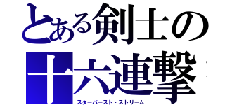 とある剣士の十六連撃（スターバースト・ストリーム）