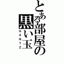 とある部屋の黒い玉（ＧＡＮＴＺ）