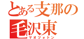 とある支那の毛沢東（マオツォトン）