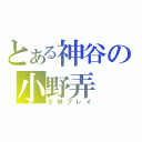 とある神谷の小野弄（ＳＭプレイ）