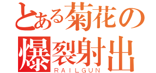 とある菊花の爆裂射出（ＲＡＩＬＧＵＮ）