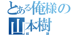 とある俺様の山本樹（奴隷）