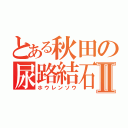 とある秋田の尿路結石Ⅱ（ホウレンソウ）