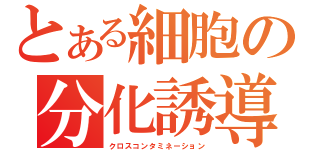 とある細胞の分化誘導（クロスコンタミネーション）