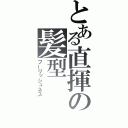 とある直揮の髪型（フーリッシュネス）