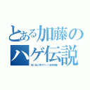 とある加藤のハゲ伝説（日に日に禿げていく自然現象）