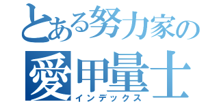 とある努力家の愛甲量士（インデックス）