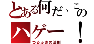 とある何だ、このハゲー！（つるふさの法則）