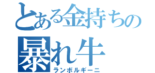 とある金持ちの暴れ牛（ランボルギーニ）