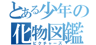 とある少年の化物図鑑（ピクチャーズ）