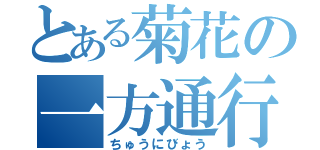 とある菊花の一方通行（ちゅうにびょう）