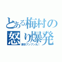 とある梅村の怒り爆発（激怒プンプン丸！）