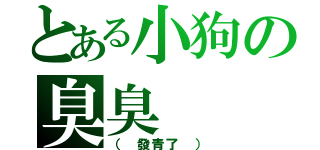 とある小狗の臭臭（（ 發青了 ））